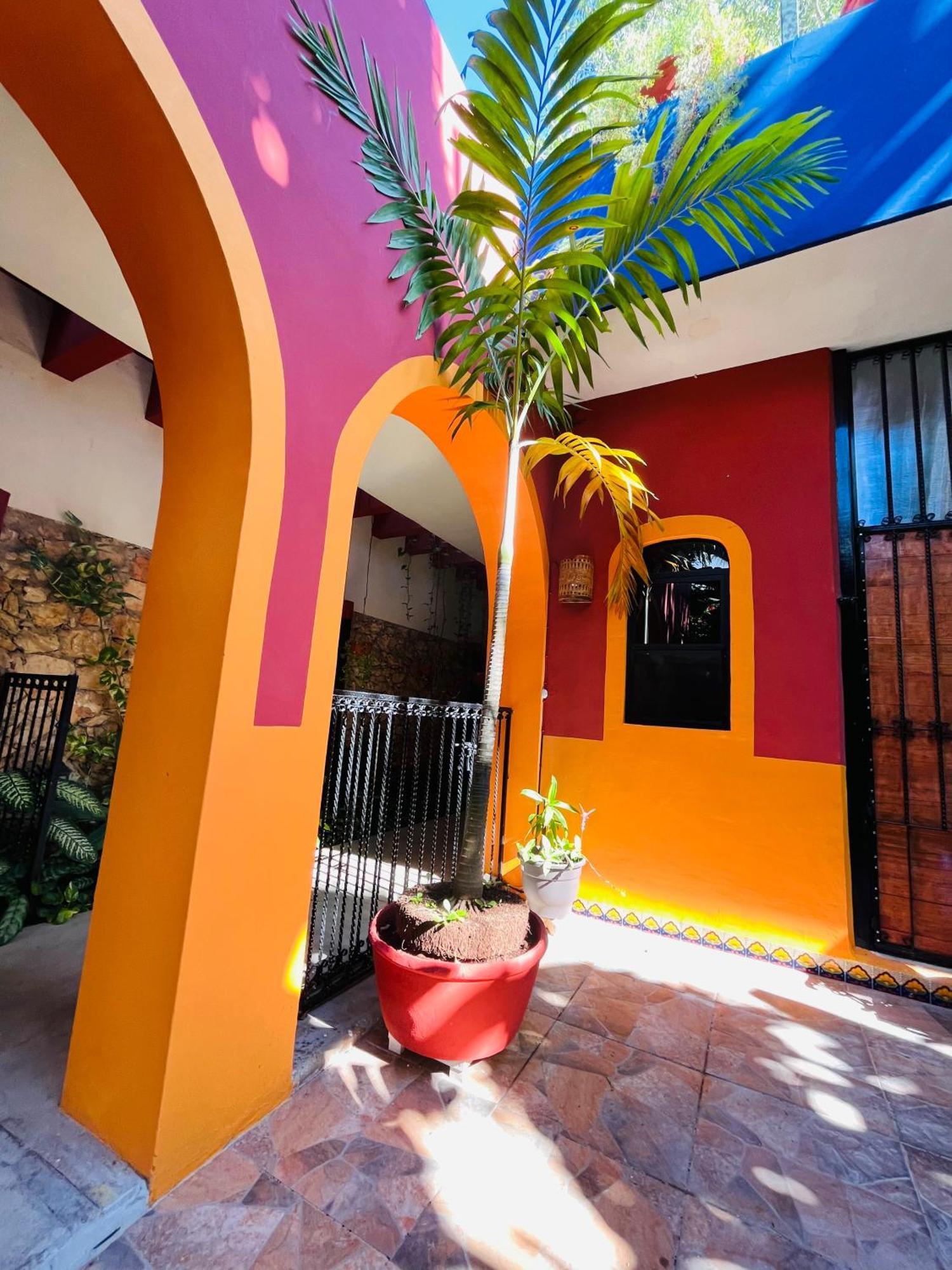 Casa Tres Colibries Bed and Breakfast Mérida Buitenkant foto